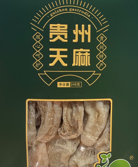 贵州天麻